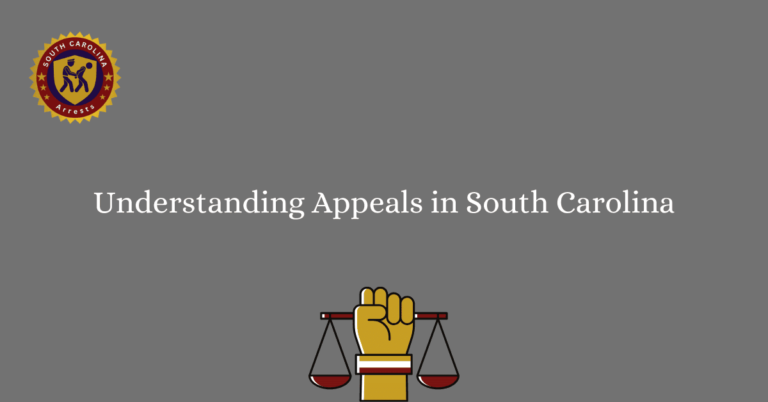 Understanding Appeals in South Carolina 1