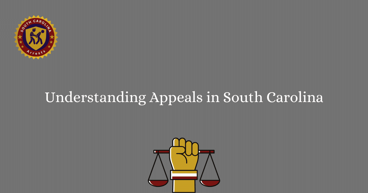 Understanding Appeals in South Carolina 1