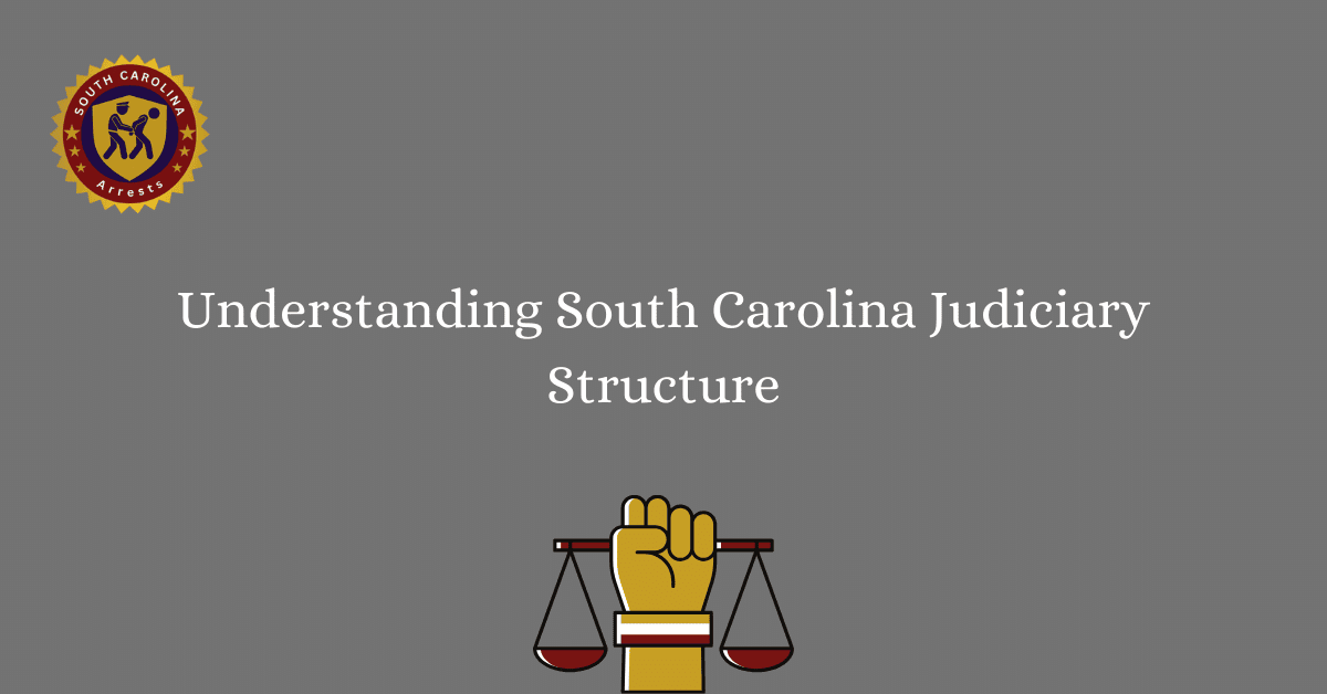 Understanding South Carolina Judiciary Structure 1